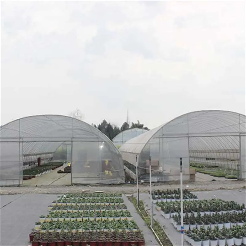 温室金属フレーム機器serre agricole温室用品ポリトンネル