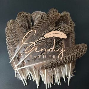 Producto de Artesanía con Plumas de Primera Calidad, Excelente Calidad, Precio Razonable, Alas de Pavo Real Natural Moteadas de 30-35 cm en Venta - Product Image 6