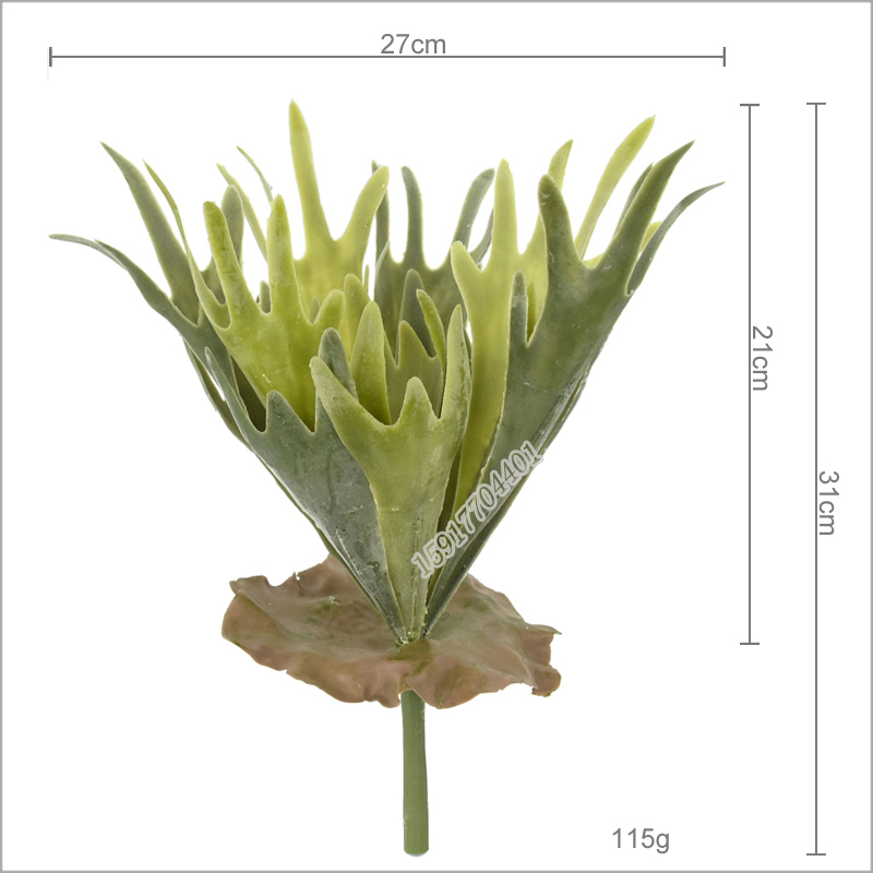 31cm