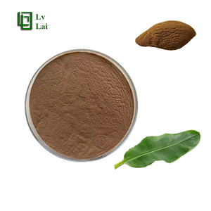 Extracto de Hoja de Plátano 10:1, Polvo de Hoja de Plátano Soluble en Agua, Extracto de Hoja de Plátano - Product Image 4