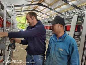 Kaleter caliente-venta Bienestar pollo anidación agujeros enrollar huevos pollo enemigo sin jaula - Product Image 5