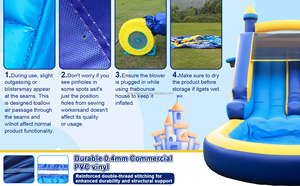Scivolo d'Acqua Gonfiabile Commerciale con Piscina, Ideale per <span class=keywords><strong>Intrattenimento</strong></span> di <span class=keywords><strong>Adulti</strong></span> e Bambini, Perfetto per Noleggio per Feste - Product Image 6