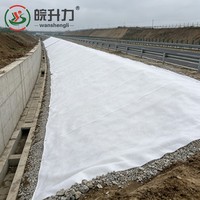 Géotextile Spunbond WSL 300g pour la stabilisation des voies ferrées et les applications de drainage – Prix usine