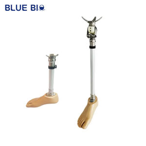 Geamputeerde Boven Knie Onder Kniegewricht Prothetische Ledematen Delen Kunstbeenkit Met Prothetische Voet - Product Image 1