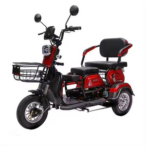 Triciclo Eléctrico de 3 Ruedas y 2 Asientos para Pasajeros - Product Image 6