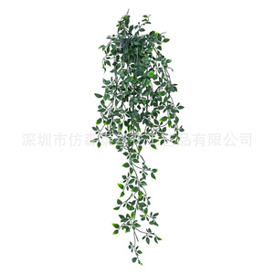 Vignes d'eucalyptus artificielles imitation Sentai 30cm-100cm, plante suspendue pour décoration murale, verdure en plastique - Product Image 1