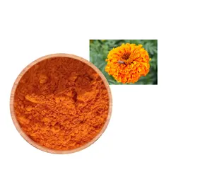 Extracto de flor de caléndula natural profesional Luteína Zeaxantina Fabricantes