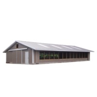 Conception de ferme avicole, plan de ferme d'élevage de poules pondeuses, plan d'affaires, bâtiment en structure métallique pour le Kenya