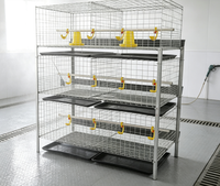 Cage à poulets à 3 niveaux et 2 portes pour 60 poulets avec plateau de récupération des œufs
