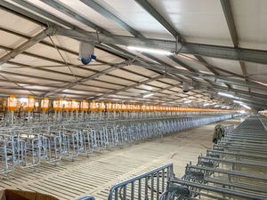 बकरी पालन शेड पोल्ट्री हाउस चिकन कॉप गाय मवेशी भवन सुअर फार्म परत पिंजरे अंडा घोड़ा स्थिर डिजाइन स्टील संरचनात्मक - Product Image 2