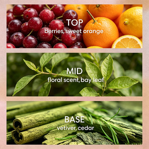 Diffuseur de parfum d'ambiance longue durée Agrumes & Cèdre, Meilleure vente et favori des acheteurs fidèles OEM&ODM - Product Image 2