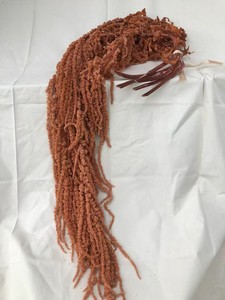 <span class=keywords><strong>Amaranto</strong></span> seco Natural de alta calidad, 5 uds., Amaranthus Caudatus colgante preservado para decoraciones de boda y graduación - Product Image 3