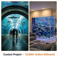 Panel de acuario de acrílico grueso grande personalizado de venta directa de fábrica, ventana de visualización de acrílico de diseño de lujo para acuario