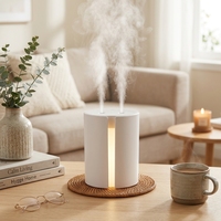 Mini-humidificateur à ultrasons avec veilleuse, atomiseur à double pulvérisation pour l'aromathérapie et la voiture.