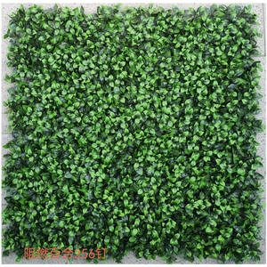 Surtido de plantas artificiales, variedad de colores, pequeña, <span class=keywords><strong>Echeveria</strong></span>, flor de la Reina, suculentas individuales - Product Image 6