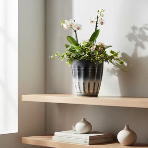 Leizisure Pots de plantes ronds rustiques uniques de haute qualité Petits jardinières en plastique pour plantes d'intérieur Macetas Decorativas Desktop - Product Image 5