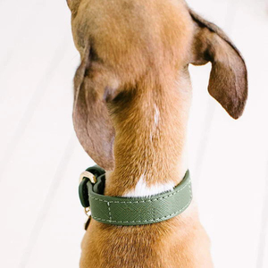 <span class=keywords><strong>Collar</strong></span> de cuero para perro, suministros para mascotas, diseño de moda, estilo simple - Product Image 4