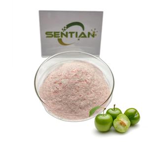 <span class=keywords><strong>Vatica</strong></span> <span class=keywords><strong>Astrotricha</strong></span> Ekstrak Greengage Green Plum <span class=keywords><strong>Powder</strong></span> - Product Image 1