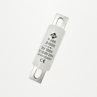 Fusible EV ZH20S 200A DC 1000V 25A IEC60269.7 en alliage de zinc plaqué argent, non-indicateur, à action rapide ZHENGRONG Chine