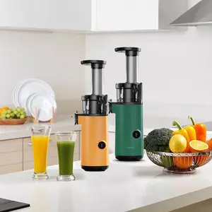 Fournisseur Nouveau style Presse-fruits électrique automatique sans fil à froid pour fruits et légumes