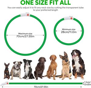 Waterproof Durable Luxury Nylon Electronic LED Dog <b>Collar</b> with Adjustable Flash Lights Rechargeable Anti-Lost for Dogs & Cats - Product Image 4