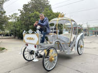 Chariot de citrouille motorisé sur le thème des contes de fées avec éclairage d'ambiance LED, véhicule électrique pour les mariages en plein air