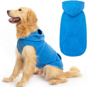 새로운 현대 면 스포츠 스타일 개 까마귀 네 다리 겨울 따뜻한 친환경 운동복 단색 양털 안감 포켓 골든 - Product Image 2