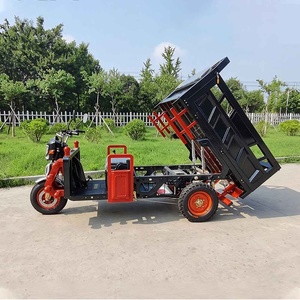 <strong>Trike</strong> All Terrain Fat Tyre Delivery Motorcycle <strong>Chinese</strong> <strong>Electric</strong> Mini Cargo Tricycle Car Price Three Wheels for Adults 1200W - Product Image 3