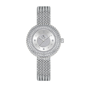 <span class=keywords><strong>BS</strong></span> FA1753 Produits les plus vendus à la mode Montre-bracelet à quartz ronde et décontractée en or pour femmes avec bracelet en alliage de diamants - Product Image 6