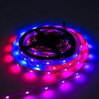 Bande LED RVB adressable à pixel unique 30 LED 5V LC8812 DCT WS2812B pour éclairage paysager - Grande Vente