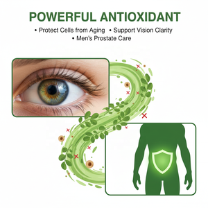 แคปซูลผงใบมะรุม 100% ซูเปอร์ฟู้ดบริสุทธิ์ บำรุงข้อต่อ พลังงาน ระบบเผาผลาญ เสริมภูมิคุ้มกัน สำหรับผู้ใหญ่ - Product Image 5