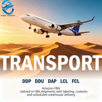 Transitaire Aérien Direct Chine vers Dubaï, Émirats Arabes Unis, Moyen-Orient, Tarifs Compétitifs pour le Fret Aérien CIF/CFR, Expédition vers l'Aéroport de DXB