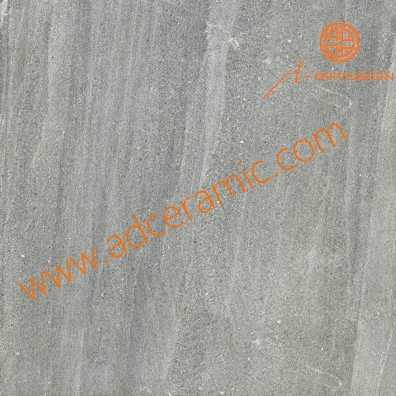 SP6006