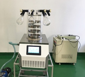 LGJ-10 Mini Lyophilisateur de Laboratoire de Petite Taille à Économie d'Énergie - Product Image 6