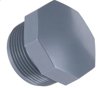 Bouchon de tuyau hexagonal en PVC fileté, anti-fuite, pour systèmes de plomberie et de traitement de l'eau