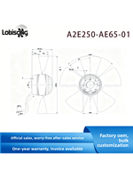 Moteur A2E250-AJ40-08 A2E250-AM06-01 A2E250-AL06-11-AL08-12-AE65-01 Chine