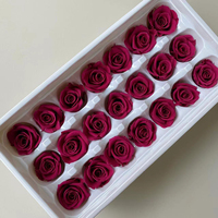 Bunga Mawar Awet USA 2-3cm Kepala Mawar Awet Mawar Abadi untuk Hari Valentine Mawar Merah untuk Kerajinan Bunga dan Rangkaian Bunga