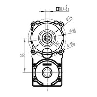 Moteur BLDC à glace en pépites Fengtech DC24V