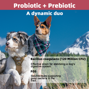 Enzimas Digestivas Caninas, Masticables Blandos con Fibra, 120 Millones de UFC, Probióticos para Perros con Estómago Sensible, Bienestar Intestinal, Soporte Diario para la Defecación - Product Image 5