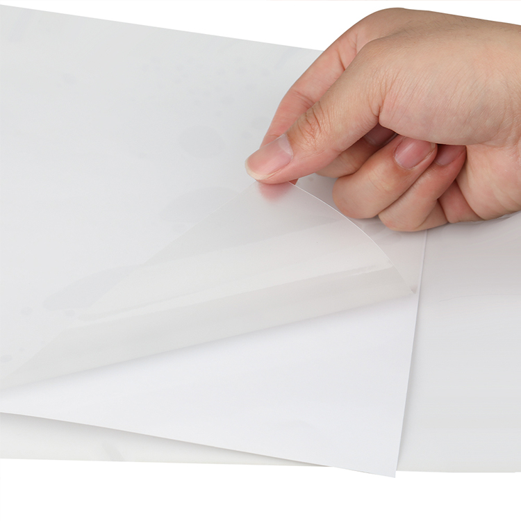 China Manufacturer PE Clear Transparent Polytene Film Label Coated Paper Sticker Self-adhesive Logo Printing Custom