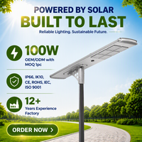 Lampadaire solaire intégré de 100 watts, batterie LiFePO4 de qualité supérieure, panneau solaire mono avec 3 ans de garantie pour les constructeurs routiers