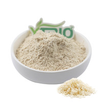 Poudre de protéines de riz non-OGM de qualité alimentaire 80% isolat/concentré pour l'industrie alimentaire et nutritionnelle