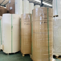 Carton kraft personnalisé en vrac de haute qualité avec fond en papier enduit de PE pour rouleaux de gobelets en papier