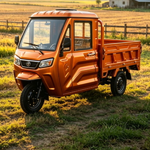 Tricycle <span class=keywords><strong>de</strong></span> <span class=keywords><strong>transport</strong></span> agricole et d'élevage certifié EEC COC CE, 1500w électrique, consommation <span class=keywords><strong>de</strong></span> carburant nulle, EEC / COC / L2e-U - Product Image 2