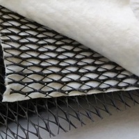 Filet de drainage géocomposite tridimensionnel en HDPE avec géotextile non tissé pour la protection des pentes