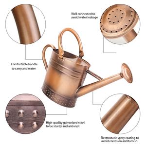 3L उद्यान पानी डिब्बे जस्ती धातु पानी कर सकते हैं के साथ तांबा इनडोर और आउटडोर बागवानी के लिए उभरा विंटेज डिजाइन - Product Image 3