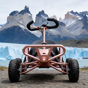 Buggy <span class=keywords><strong>de</strong></span> <span class=keywords><strong>dunas</strong></span> a precio económico, Go Kart con motor <span class=keywords><strong>de</strong></span> gasolina, fuerte aceleración para exploración todoterreno en el desierto - Product Image 2