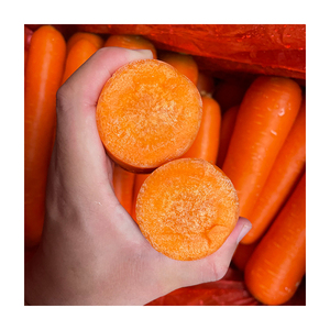 <span class=keywords><strong>Zanahoria</strong></span> Roja Fresca Sinofarm 2026, Nueva Cosecha, Tamaños S, M, L, Venta al por Mayor a Granel, Caja de 10 kg, Exportación de China, Proveedor de Zanahorias Frescas - Product Image 2