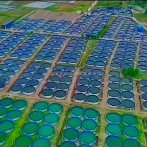 SDM grand équipement d'aquaculture commerciale d'aquarium de réservoir de poissons résistant pour l'élevage de tilapia d'<span class=keywords><strong>esturgeon</strong></span> et la mise en commun de poissons - Product Image 6