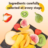 Chips de fruits lyophilisés mélangés VF, fruits déshydratés en vrac, sacs personnalisés, vente en gros, certifiés Halal, prix d'usine